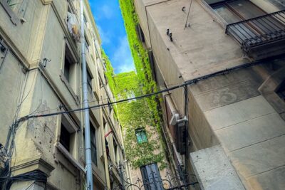 3-Hour Private Guided Walking Tour of Barcelona - Barcelona Cathedral and Casa de l’Ardiaca: Gothic Power Meets a Quiet Patio
