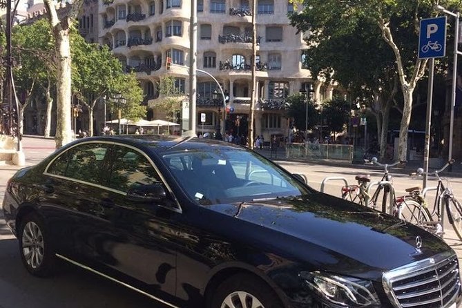 8-Hour Barcelona Private Tour - La Sagrada Família and Park Güell: big-ticket Gaudí, planned for a full day