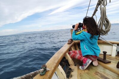8-Hour Whale Watching in Barcelona - Meeting at Mar a la Vista, Moll de Mestral (9:00 am start)
