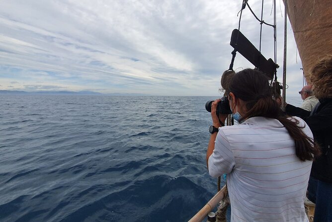 8-Hour Whale Watching in Barcelona - Staying sustainable: how the crew helps you watch without forcing it