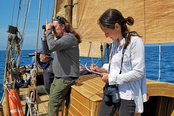 8-Hour Whale Watching in Barcelona - A return trip where you can actually sail the boat