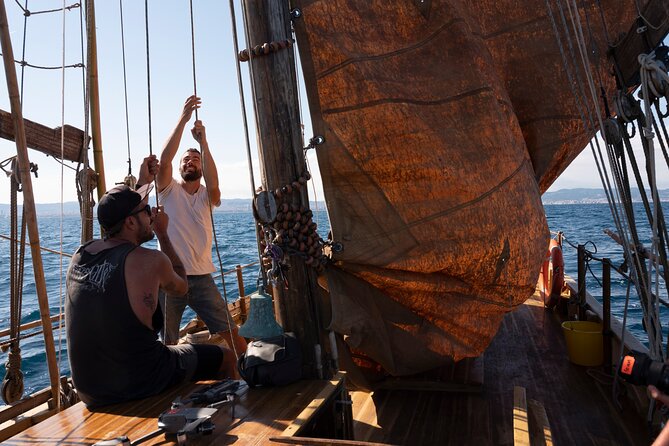 8-Hour Whale Watching in Barcelona - Small-group value: max 10 travelers makes questions real