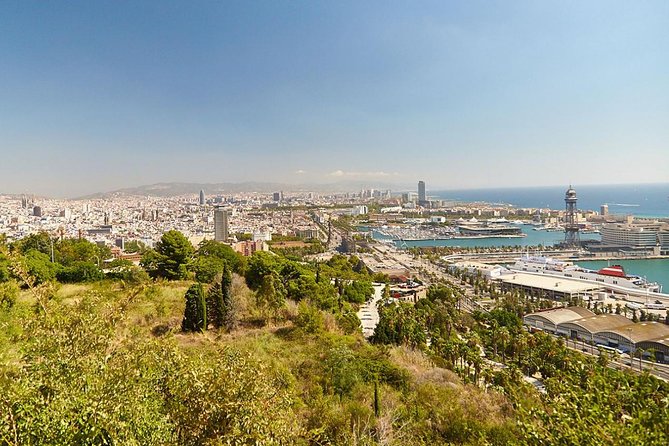 8 hours Barcelona Highlights Private tour - How lunch and entry tickets affect your schedule