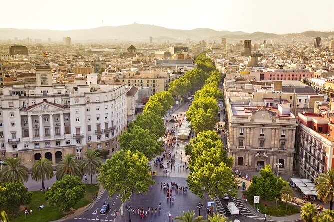 Arrival Transfer from Barcelona Airport BCN to Barcelona in Private Car/Van - Vehicle Comfort and Cleanliness Details That Matter