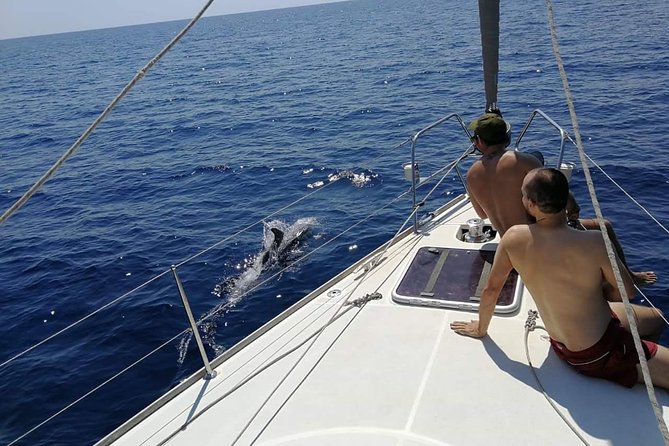 Authentic Barcelona Sailing Tour with Swim & Drinks - The 2-Hour Format That Makes Timing Easy