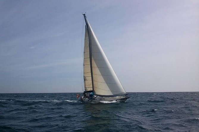 Authentic Barcelona Sailing Tour with Swim & Drinks - Small Group + Captain Style = Better Sailing Stories