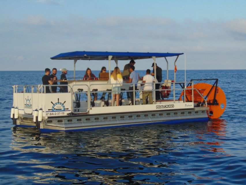 Barcelona: 1.5-Hour Private Scenic Pedal Boat Tour - Key Things I’d Watch For