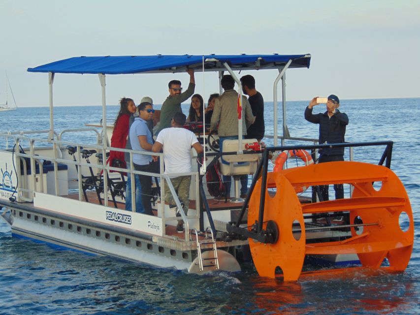 Barcelona: 1.5-Hour Private Scenic Pedal Boat Tour - W Barcelona Pass: Nice for Landmarks and Final Photos