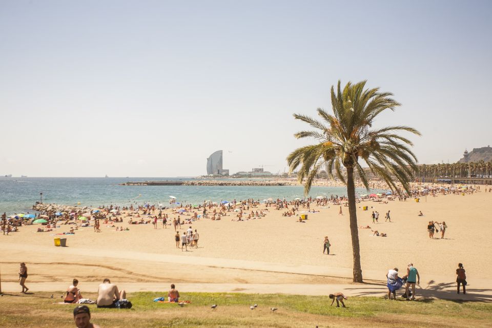 Barcelona: 3-Hour Segway Sightseeing Tour - Beaches, street performers, and Sant Sebastià’s street energy