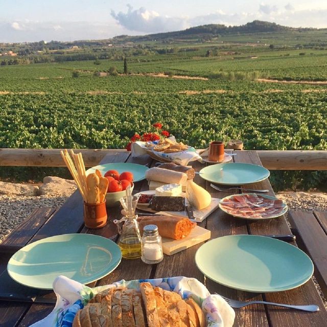 Barcelona: 3 Penedes Wineries with Hotel Pick-up and Lunch - Stop 1: Biodynamic Cava and the Traditional Method Lesson