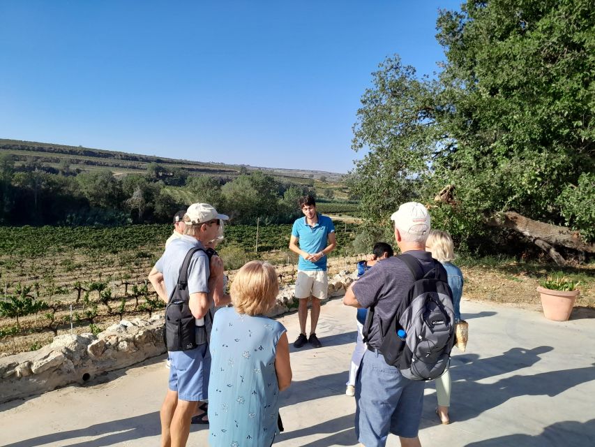 Barcelona: 3 Penedes Wineries with Hotel Pick-up and Lunch - What You’ll Actually Drink and Eat