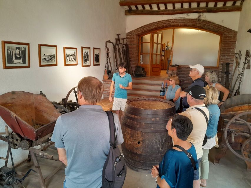 Barcelona: 3 Penedes Wineries with Hotel Pick-up and Lunch - Price and Value: What $206 Really Buys You