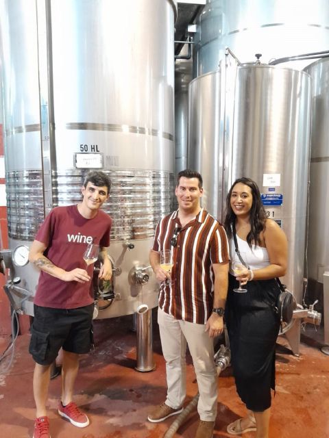 Barcelona: 3 Penedes Wineries with Hotel Pick-up and Lunch - Tips to Make Your Day Smoother in Penedès
