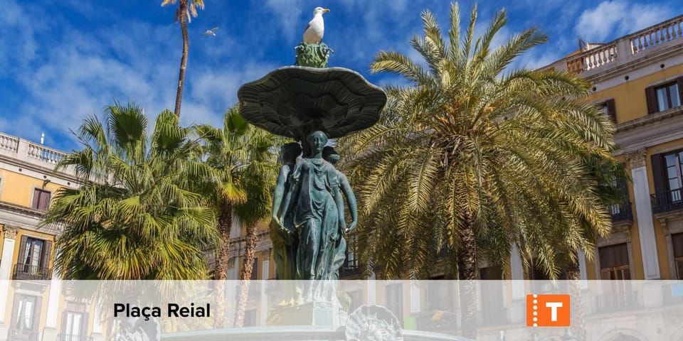 Barcelona: All-Inclusive City Pass & Public Transport Option - Barcelona Aquarium and Montjuïc Viewpoints: Easy Wins for Families or Solo Walkers