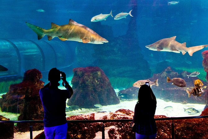 Barcelona Aquarium Skip the Line Ticket - How long to plan: one hour works, but build buffer time