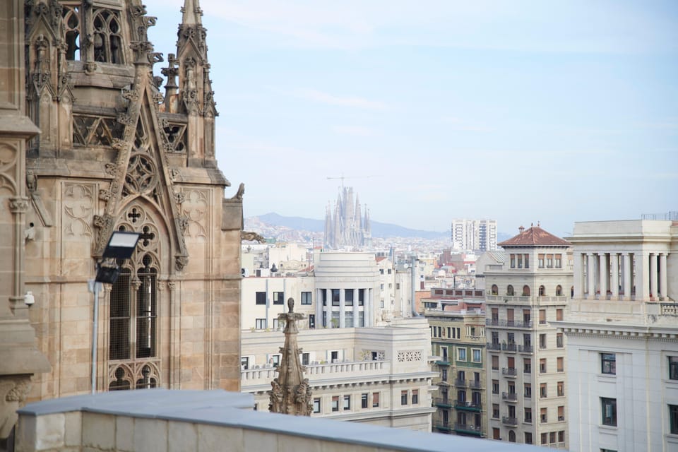 Barcelona Cathedral: Ticket, Guided Tour and VR Experience - Meeting at Pla de la Seu 7: the part that can save you stress