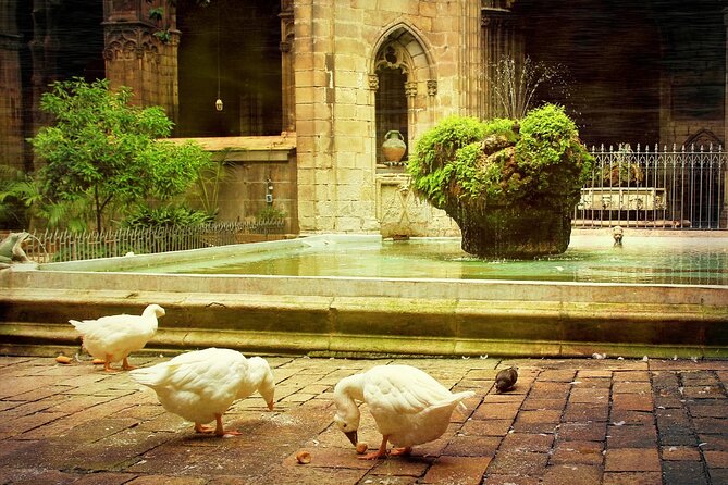 Barcelona Cathedral: Ticket, Guided Tour, Terrace + VR Experience - Rooftop terraces: the skyline payoff (and it’s included)