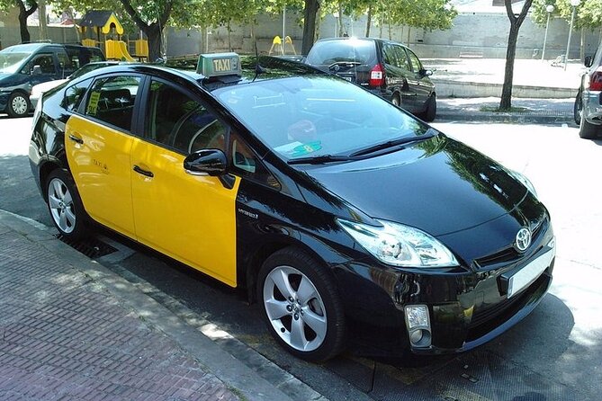 Barcelona city to/from Airport, cruise Port private Transfer - Who should book this transfer in Barcelona