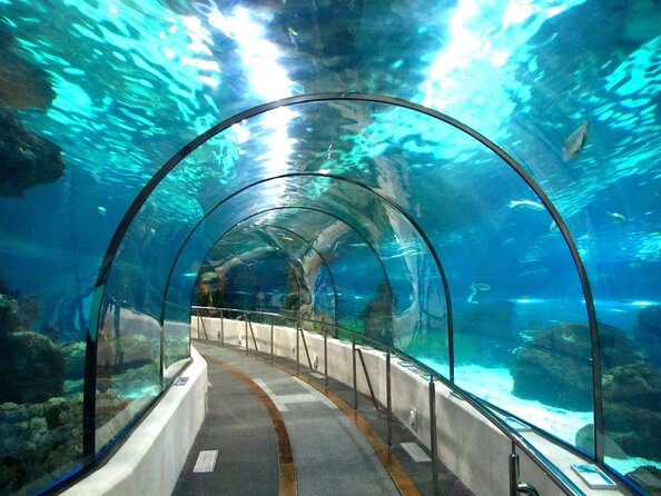 Barcelona City Tour Hop-On Hop-Off and Aquarium - Key things to notice before you ride