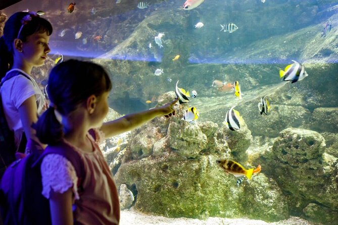 Barcelona City Tour Hop-On Hop-Off and Aquarium - Aquarium de Barcelona: Port Vell’s Mediterranean-themed finale