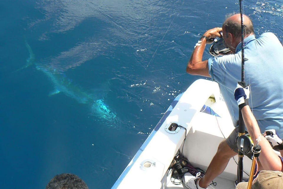 Barcelona: Coastal Fishing Trip - Where You Meet at Port Balis 79 (and Why It Matters)