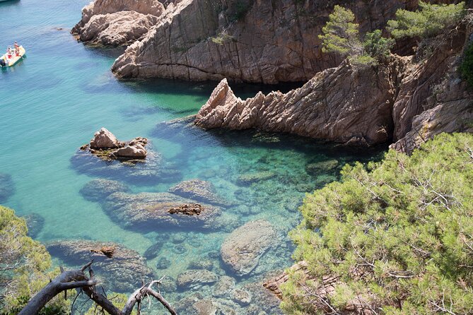 Barcelona: Costa Brava Easy Hike, Snorkel, Cliff-Jump & Meal - Starting at a Golden-Sand Cove on the Camí de Ronda
