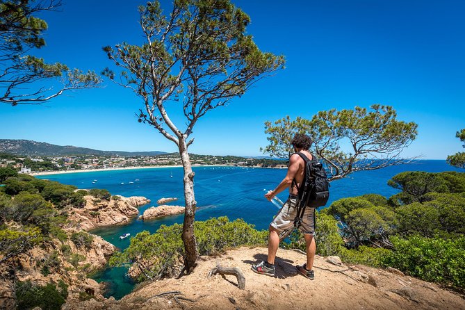 Barcelona: Costa Brava Easy Hike, Snorkel, Cliff-Jump & Meal - A Family-Friendly Bay With Colorful Wooden Beach Huts