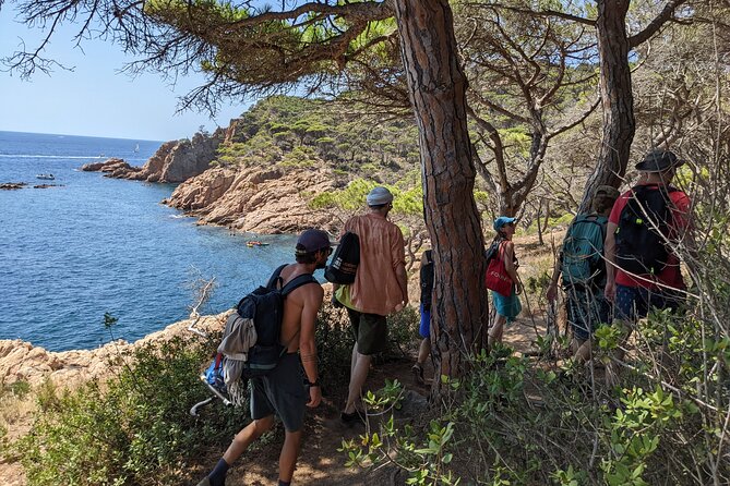 Barcelona: Costa Brava Easy Hike, Snorkel, Cliff-Jump & Meal - Snorkeling in a Protected Coastal Area: Gear, Safety, and What You Might See