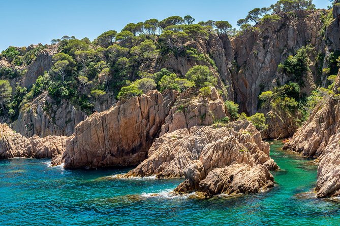Barcelona: Costa Brava Easy Hike, Snorkel, Cliff-Jump & Meal - Price and Value: What You Really Get for $102.84