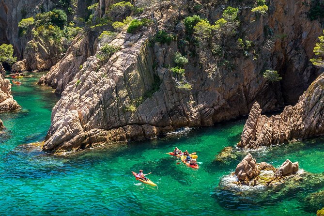 Barcelona Costa Brava Kayak, Snorkel & Cliff Jump Day Tour - Kayak Time Along the Costa Brava: Coves, Caves, and the Camino de Ronda