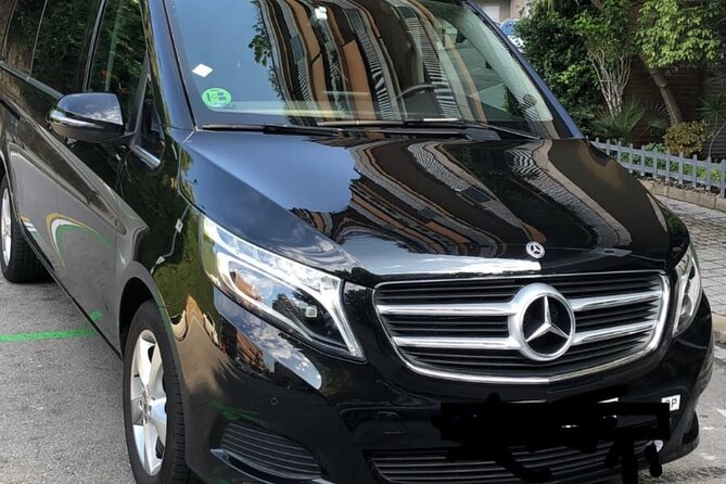 Barcelona Cruise port to barcelona city private transfer - Who This Barcelona Cruise Port Transfer Works Best For
