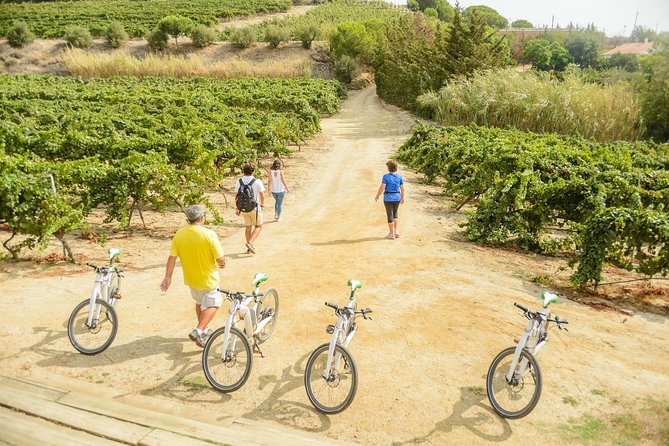 Barcelona eBike Beach Private Tour to Vineyards & Picnic - Back to Barcelona on the train: great for recovery, tricky with bike steps