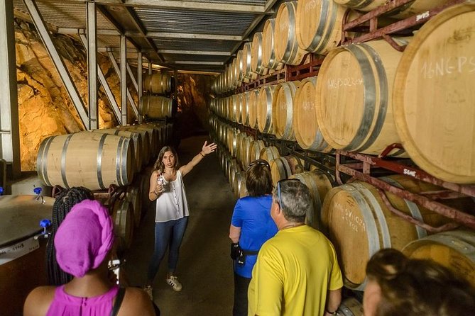 Barcelona eBike Beach Private Tour to Vineyards & Picnic - Price and value: what you’re paying for at $302.33 per person