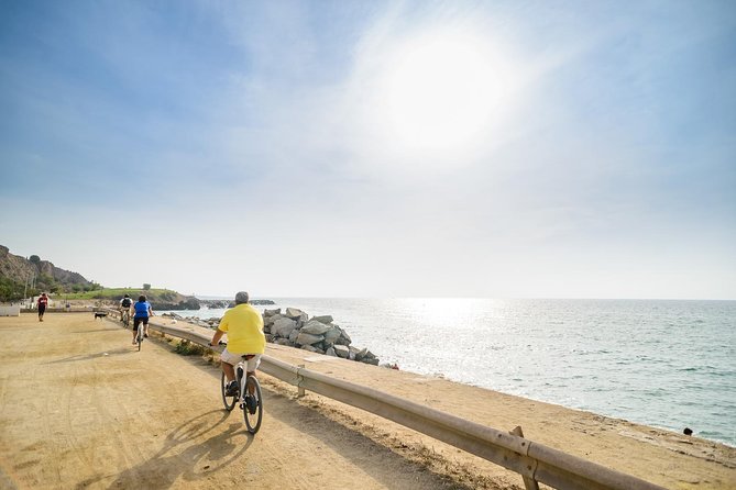 Barcelona eBike Beach Private Tour to Vineyards & Picnic - Who should book this tour (and who should skip it)