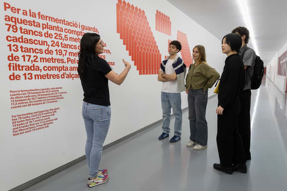 Barcelona: Estrella Damm Brewery Guided Tour with Tasting - Snacks, Sips, and the Practical Stuff That Still Matters