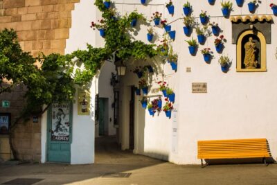 Barcelona: Flamenco Show with Dinner at Tablao de Carmen - Dinner and the drink: part of the show, not separate