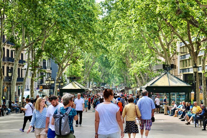 Barcelona Food Markets Private Tour with Tastings - Mercado de Santa Caterina in El Born: the finish with serious cheese, jamón, and seafood focus