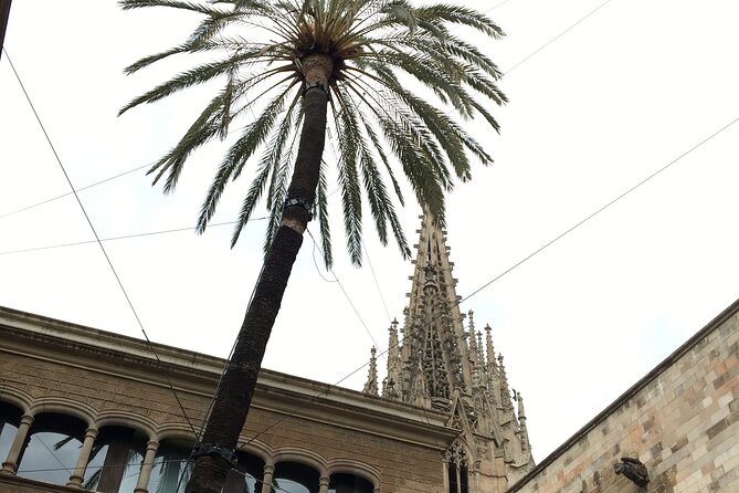 Barcelona Gothic Quarter From Roman Walls to Hidden Courtyards - Key Highlights You’ll Notice Right Away