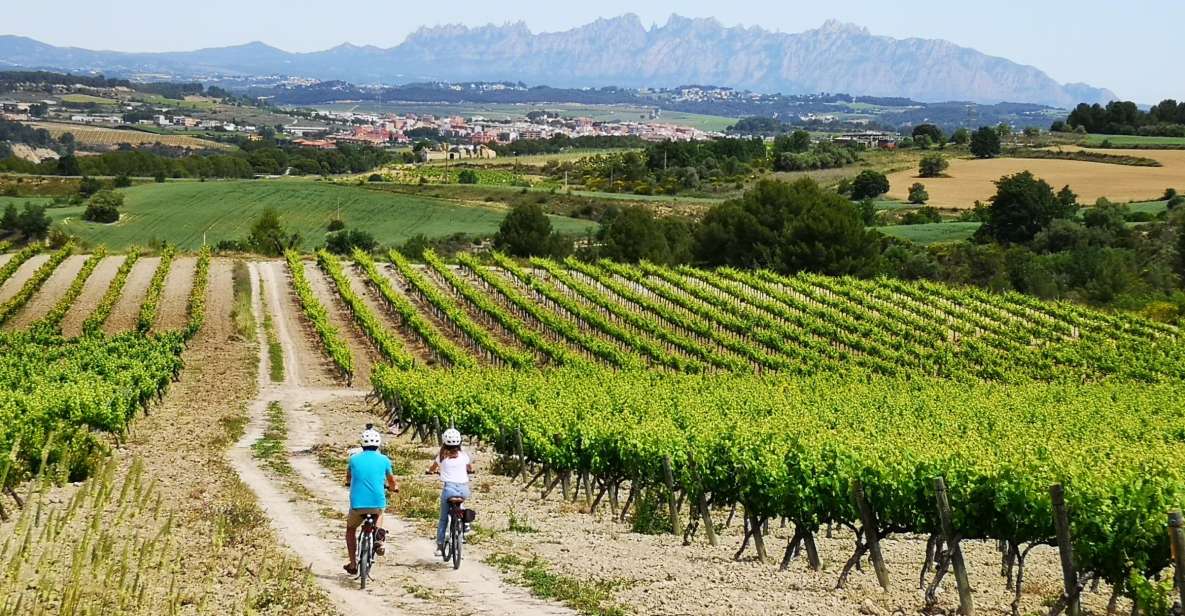 Barcelona: Guided Half-Day Wine and Electric Bike Tour - Key highlights at a glance