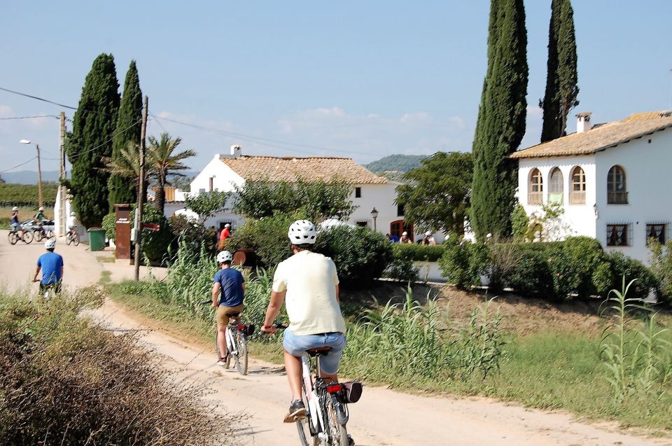 Barcelona: Guided Half-Day Wine and Electric Bike Tour - Practical tips to make your day smoother