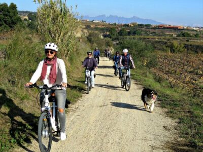 Barcelona: Guided Half-Day Wine and Electric Bike Tour - Riding out of Barcelona: the Lavern-Subirats plan