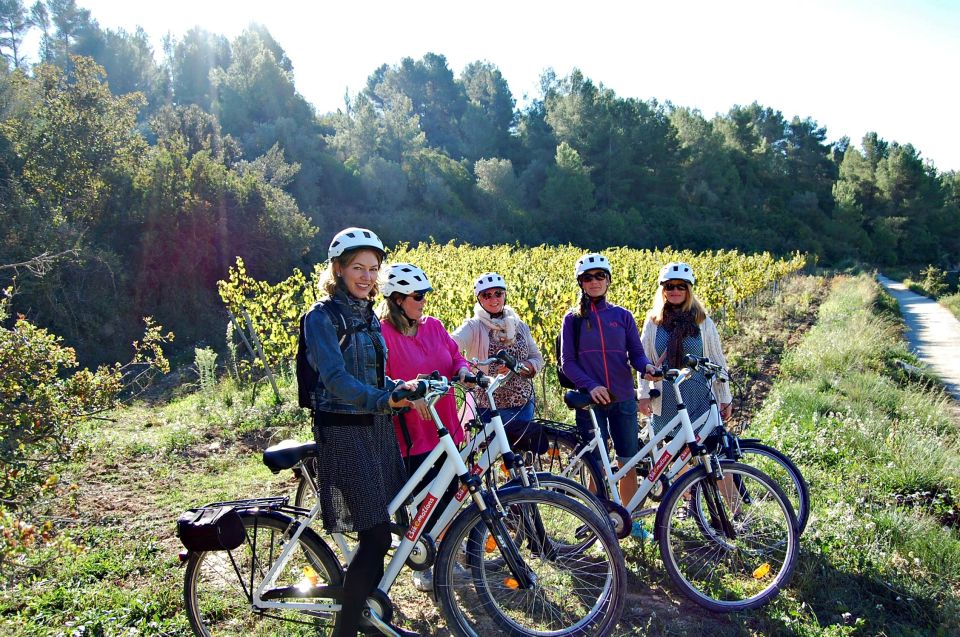 Barcelona: Guided Half-Day Wine and Electric Bike Tour - Price and value: is $101 a fair deal?