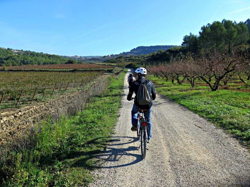 Barcelona: Guided Half-Day Wine and Electric Bike Tour - Who this tour suits best (and who should skip it)