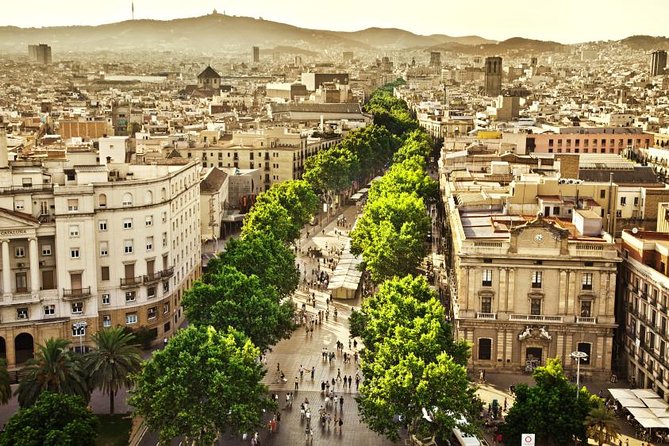 Barcelona Half-Day Sightseeing Private Tour - Barri Gòtic in an hour: your fast pass to the old city feel