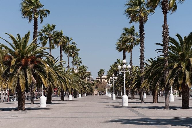 Barcelona Half-Day Sightseeing Private Tour - La Rambla, Gaudí houses, and Montjuïc: flexible choices for different styles of travel