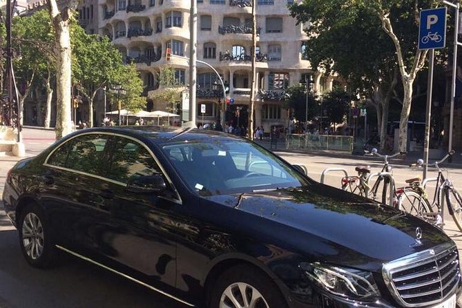 Barcelona Highlights Private Tour with Port or Hotel Transfers - La Sagrada Familia in 30 Minutes: Plan Your Expectations