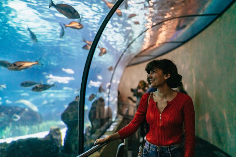 Barcelona: Hop-On Hop-Off Bus & Aquarium Tour - Key Points at a Glance