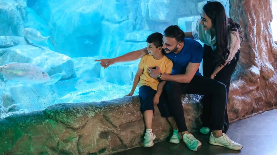 Barcelona: Hop-On Hop-Off Bus & Aquarium Tour - Hop-On Hop-Off Bus + Aquarium: Why This Combo Makes Sense