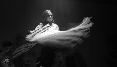 Barcelona: La Laietana Flamenco Show Ticket - A practical way to plan around the one-hour slot