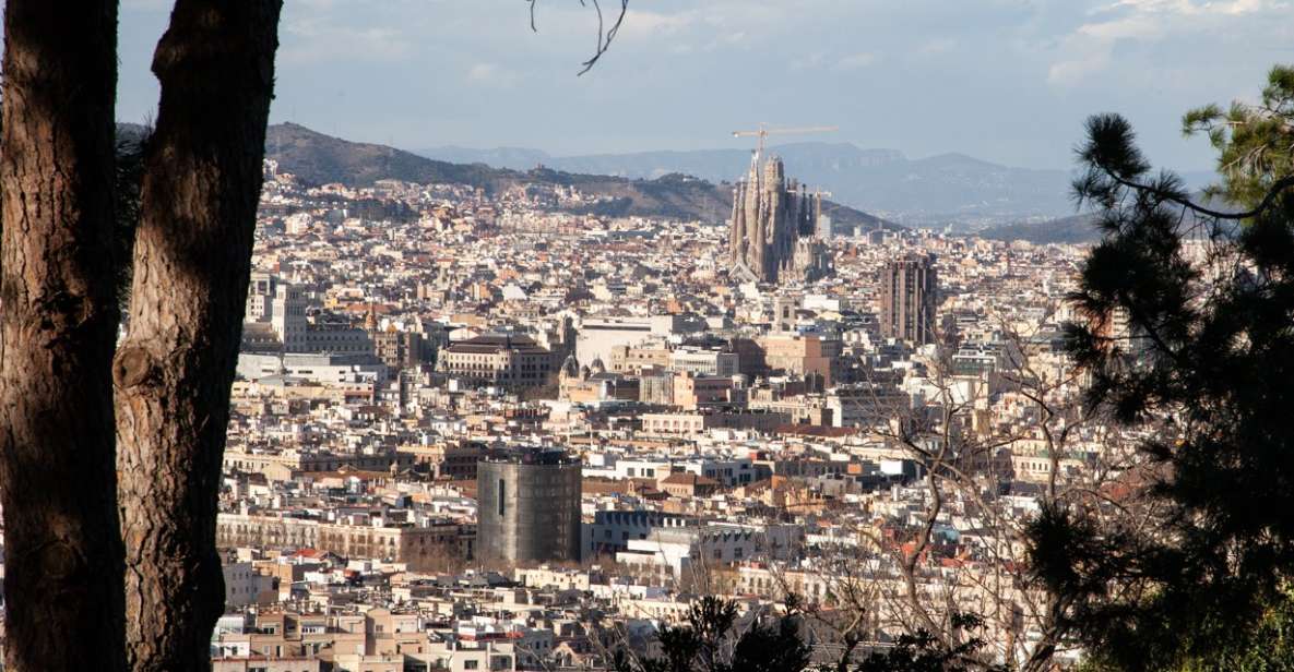 Barcelona: Montjuïc Walking Tour With Optional Flamenco Show - Starting at Montjuïc Castle: getting your bearings fast